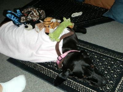 Napping with my toys